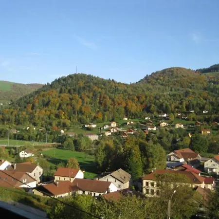 Familial Dans Le Parc Des Vosges, Wifi Et Animaux Acceptes - Fr-1-589-840