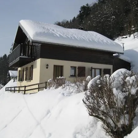 Familial Dans Le Parc Des Vosges, Wifi Et Animaux Acceptes - Fr-1-589-840 Le Ménil