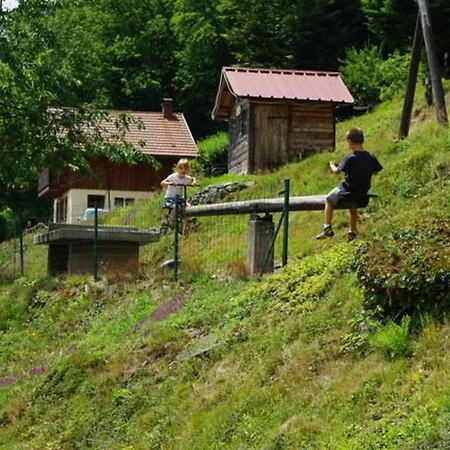 Familial Dans Le Parc Des Vosges, Wifi Et Animaux Acceptes - Fr-1-589-840 Landhaus Le Ménil