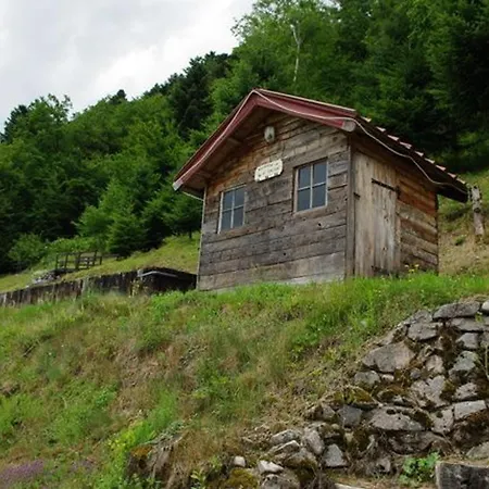 בית נופש Familial Dans Le Parc Des Vosges, Wifi Et Animaux Acceptes - Fr-1-589-840 Le Ménil