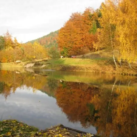 Familial Dans Le Parc Des Vosges, Wifi Et Animaux Acceptes - Fr-1-589-840 *