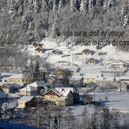 Familial Dans Le Parc Des Vosges, Wifi Et Animaux Acceptes - Fr-1-589-840 *