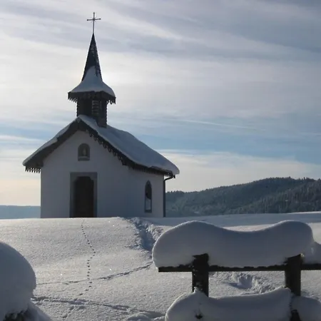 Familial Dans Le Parc Des Vosges, Wifi Et Animaux Acceptes - Fr-1-589-840 Landhaus Le Ménil