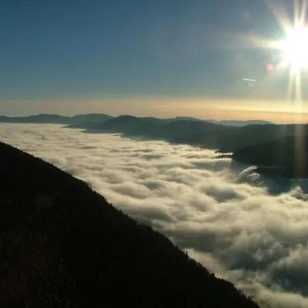 Familial Dans Le Parc Des Vosges, Wifi Et Animaux Acceptes - Fr-1-589-840