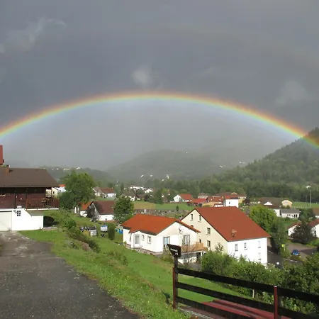 Ferienhaus Familial Dans Le Parc Des Vosges, Wifi Et Animaux Acceptes - Fr-1-589-840 *