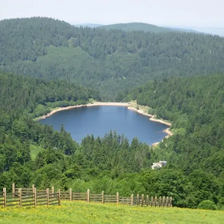 בית נופש Familial Dans Le Parc Des Vosges, Wifi Et Animaux Acceptes - Fr-1-589-840