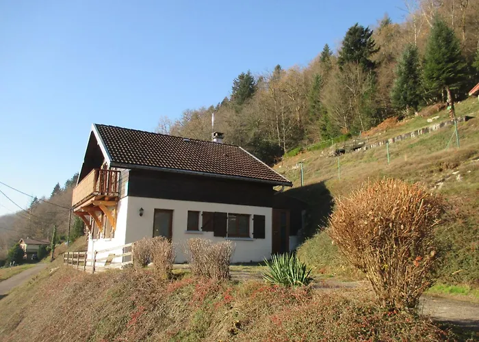 Familial Dans Le Parc Des Vosges, Wifi Et Animaux Acceptes - Fr-1-589-840 Semesterbostad Le Ménil