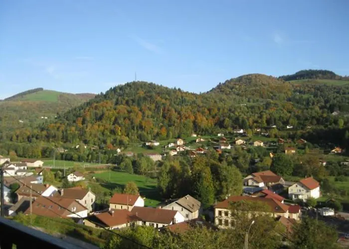 Familial Dans Le Parc Des Vosges, Wifi Et Animaux Acceptes - Fr-1-589-840