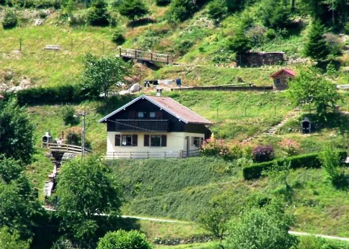 Familial Dans Le Parc Des Vosges, Wifi Et Animaux Acceptes - Fr-1-589-840 *